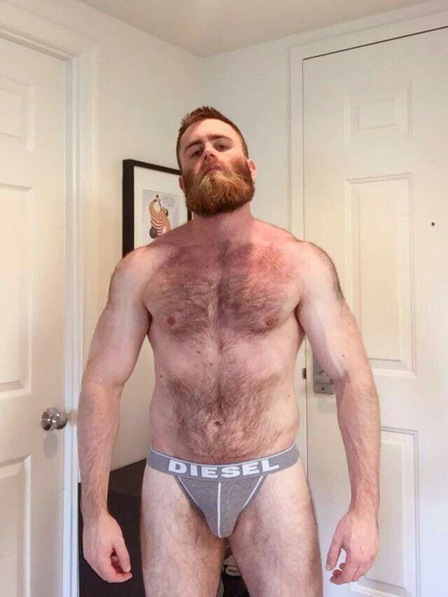 Naked Hairy Gay Ginger Bear Porn Galleries