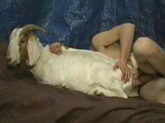 Xxx porn pic girl and goat - Porn clips.